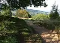 Paths on Leckhampton Hill