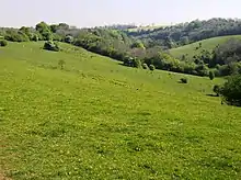 Green fields and a path on Danks Down North of Ford. A footpath (part of the Macmillan Way) leaves the Castle Combe Road to follow the right flank of Danks Down towards Long Dean. The path runs along the left-hand side of this picture, with the By Brook in the valley to the right and Long Dean hamlet in the wooded area in the middle distance.