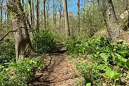 The trail by the Black River, near the Elizabeth D. Kay Environmental Center