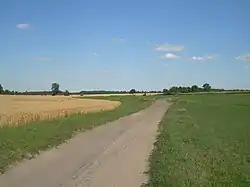 Fields in Pawłówe