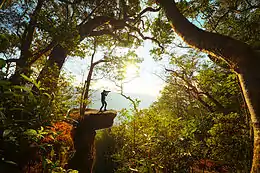 Pha Diao Dai ("Lonely Cliff"), Khao Yai National Park