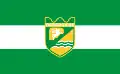 Flag of Pazardzhik