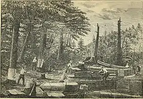 Peeling bark for the tannery in Prattsville, New York, during the 1840s, when it was the largest in the world.