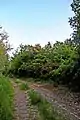 Pathway at the site of RAF West Kirby.