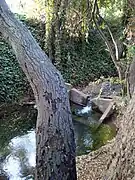 A weir on Permanente Creek in Los Altos roughly midway between Fremont Ave and Heritage Oaks Park.