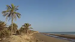 Persian Gulf coastline at Imam Hassan