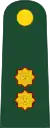 General de brigada(Peruvian Army)