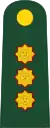 General de división(Peruvian Army)