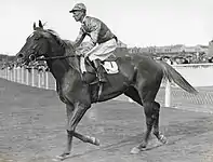 Peter Pan 1935 Spring Stakes jockey Jim Pike