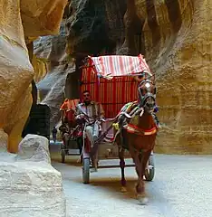 Tourist carts in Petra Siq (Jordan)