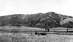 Location of the petrified forest on Specimen Ridge, 1938