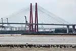 Flocks of great cormorant