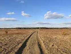 Pheasant AreaFrances A. Crane Wildlife Management Area