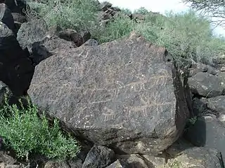 A petroglyph "scene" with two deer bumping heads (bottom right)