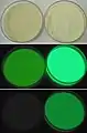 Zinc sulfide (left) and strontium aluminate (right), in visible light, in darkness, and after 4 minutes in the dark.