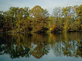 Lake Wilhelm at Maurice K. Goddard State Park