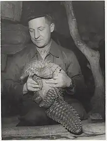 a man hold a giant pangolin