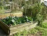 Picardo Farm, Wedgwood neighborhood, Seattle, Washington: A community allotment garden with raised beds for the physically disabled.