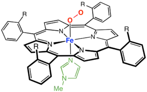 A picket-fence porphyrin complex of Fe, with axial coordination sites occupied by methylimidazole (green) and dioxygen (R = amide groups).