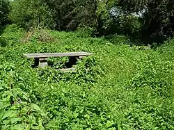 Berengrave Chalk Pit