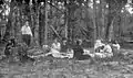 Picnic in a wooded area (Harry Walker, photographer, circa 1900–1949)