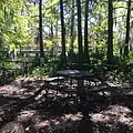 Picnic table at Cypress Lake edge, with new pier in distance