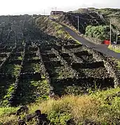 Typical protective walls and winery's house from basalt stones in the west of the island of Pico