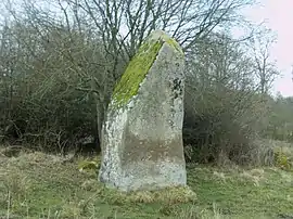 A menhir in Craménil