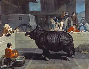 Rhinoceros in Venice circle of Pietro Longhi  (1751)