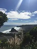 A view over Piha beach