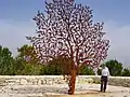 "For is the tree of the field a man", Partisans' Panorama, Yad Vashem, Jerusalem