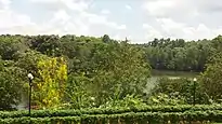 Pilikula Botanical Garden  - Forest near the Lake