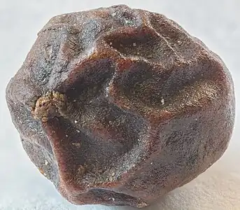 Close-up of a peppercorn