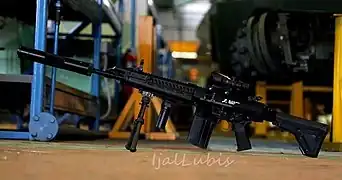 Indonesian Pindad SS3 rifle, a variant of the SS2 equipped with ACOG