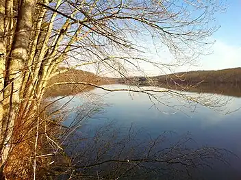 View of Pine Acres Lake looking north from close to the southern start of the Natchaug Trail