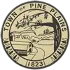 Official seal of Pine Plains, New York