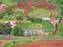 Dole's Plantation Garden Maze recaptured the world record of world's largest maze in 2008, occupying 137,194 square feet. The maze topped the record in 2001 of the Peace Maze in Northern Ireland, which currently measures in at 118,403.