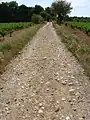 The Via Domitia in Pinet, Hérault