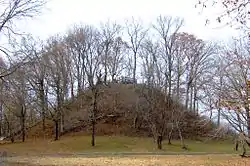 Pinson Mounds