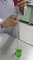 A person blowing the pipette using a rubber bulb. Notice the two rings in the upper end of the pipette, which indicates that this is a "blow-out" pipette.