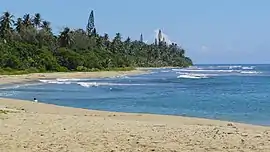 Poindimié Beach