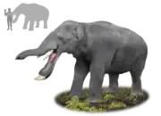 P. grangeri reconstruction with size comparison.