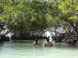 Women wading near mangroves in Manglillo Beach