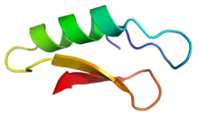 Cartoon representation of the secondary structure of plectasin.