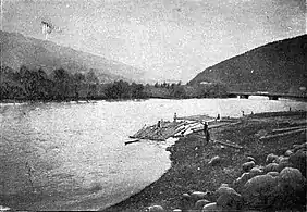 Rafts with logs on Bistrița