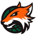 Plymouth Raiders logo