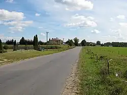 Unpaved road in Łapy-Pluśniaki