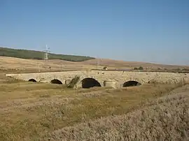 Docolina Bridge, în Chițcani village