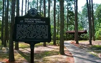 Poison Springs