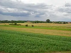 Agricultural fields near the village